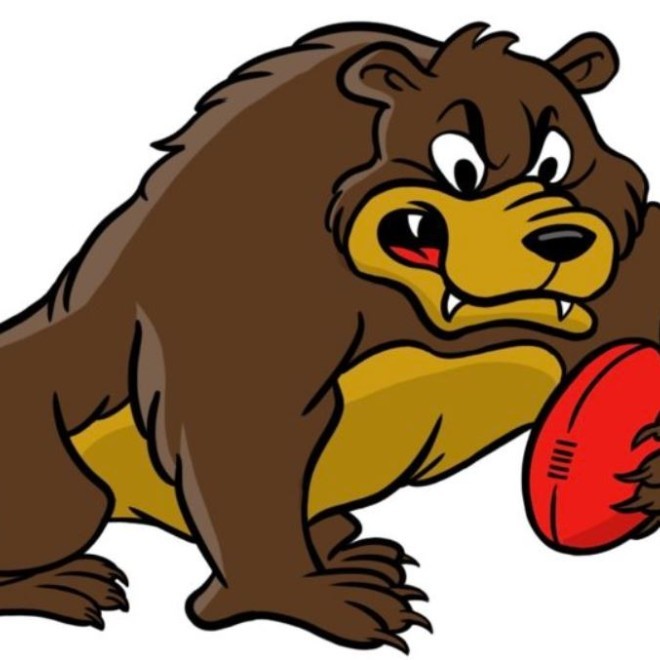 Kenmore Bears AFC