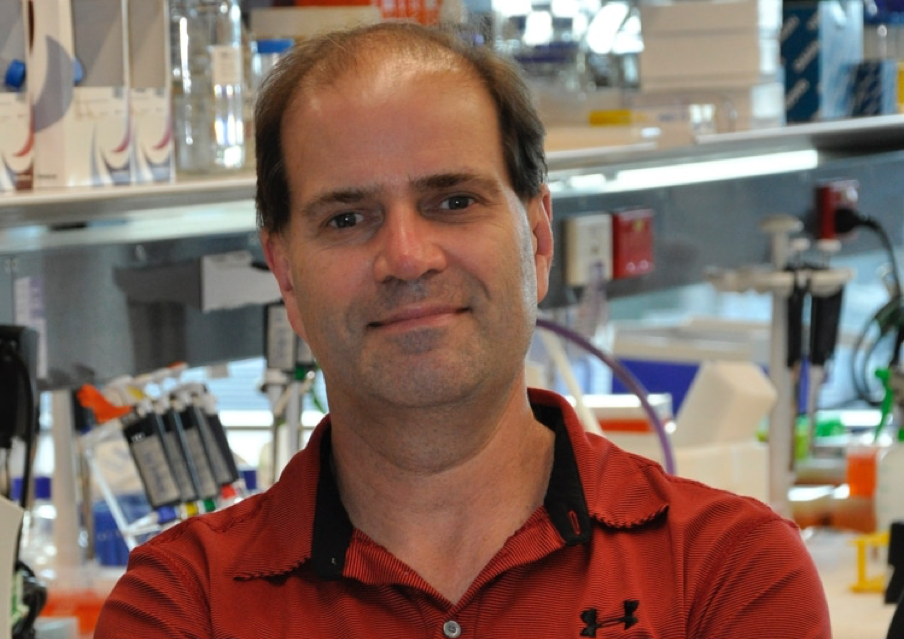 researcher in a lab researcher in a lab