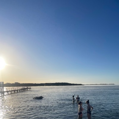 Daffodil Day Dip Girls